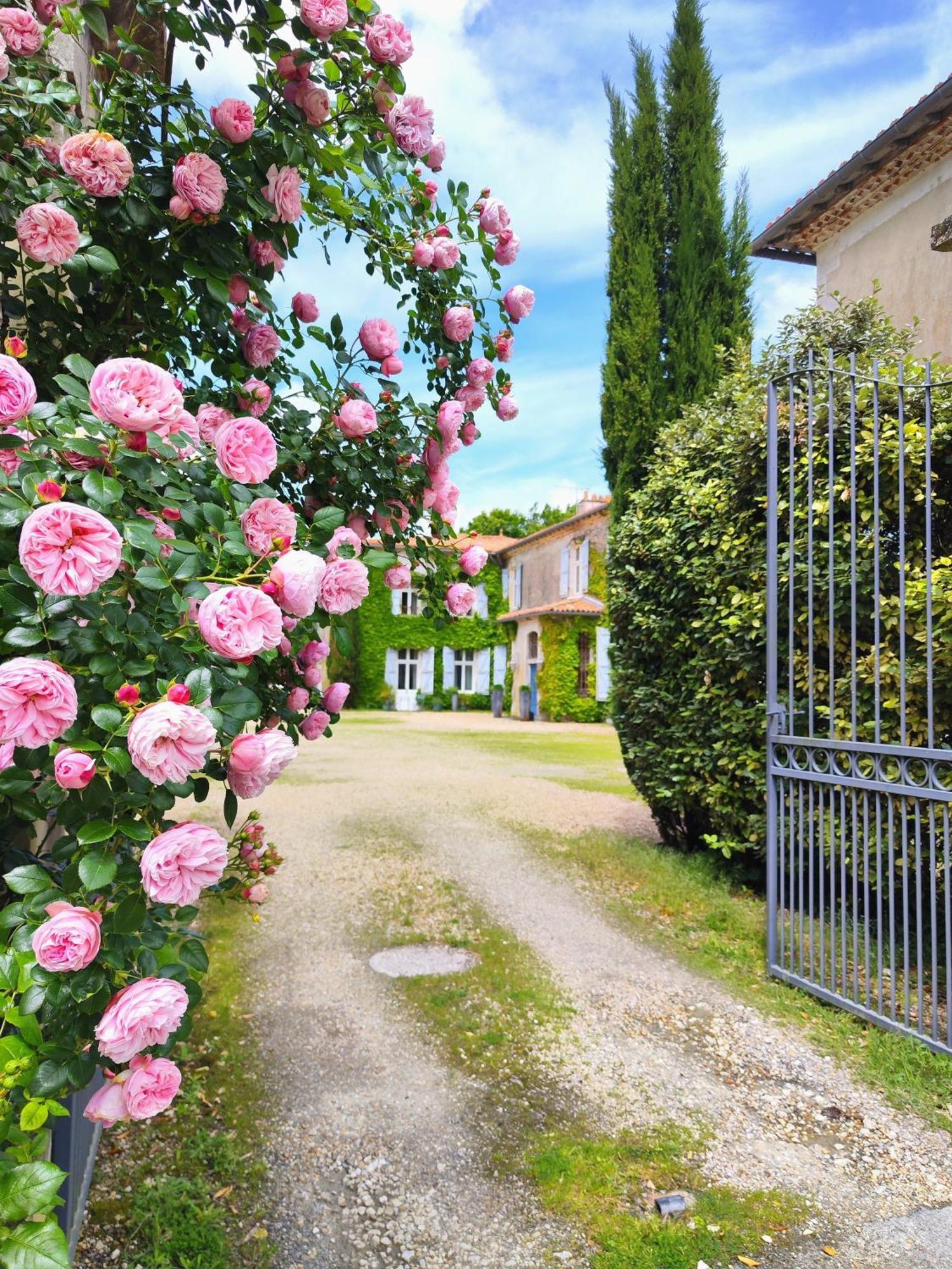 Hotel Chateau De Didonne Sémussac Екстериор снимка